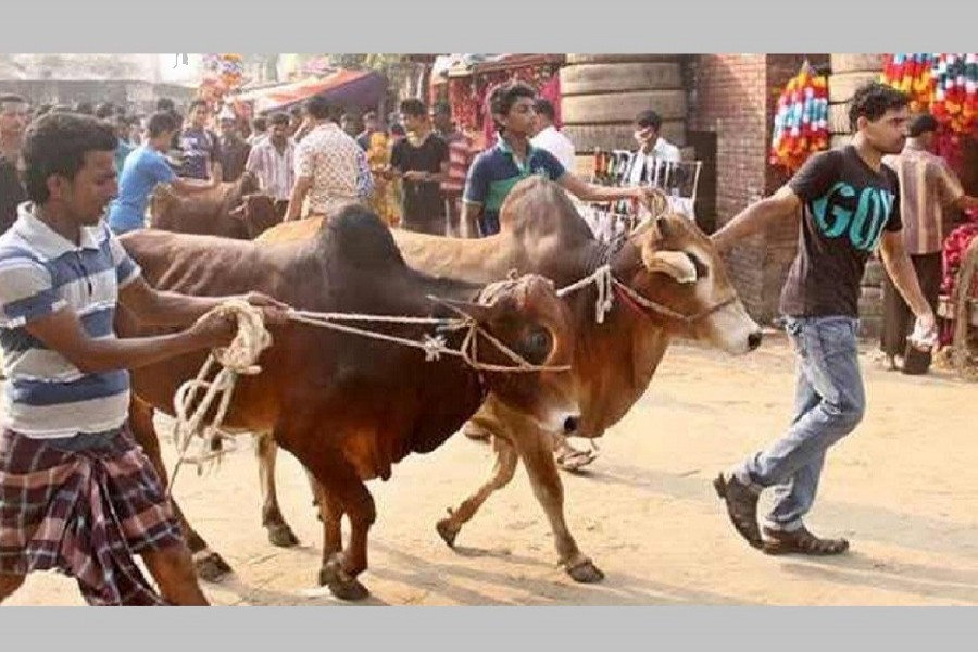 ঈদের নামাজ সেরে পশু কোরবানি, প্রস্তুত দুই সিটি