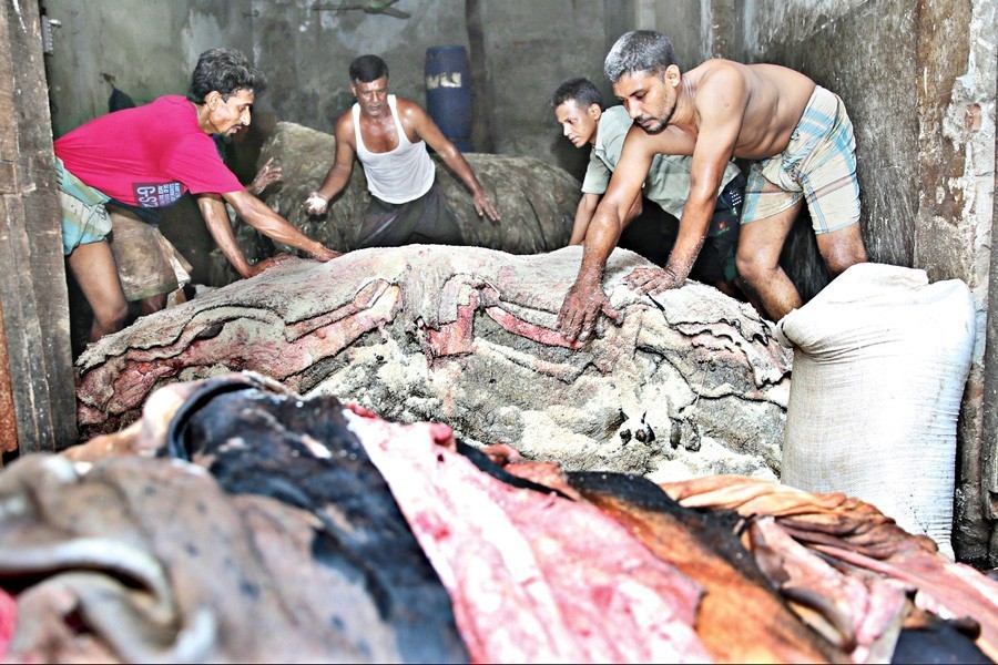 ঢাকায় চামড়া সংগ্রহে তৎপর সবাই, দামও ভালো