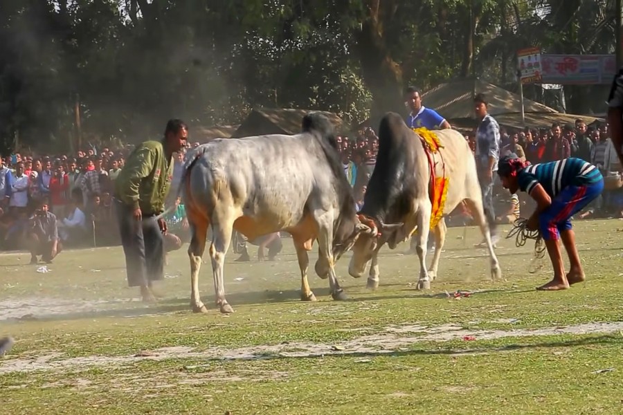 হাওরের জীবন, হাওরের সংস্কৃতি