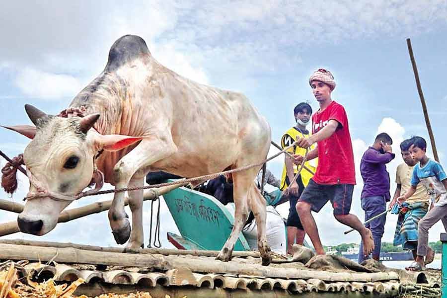 -এফই ফাইল ছবি
