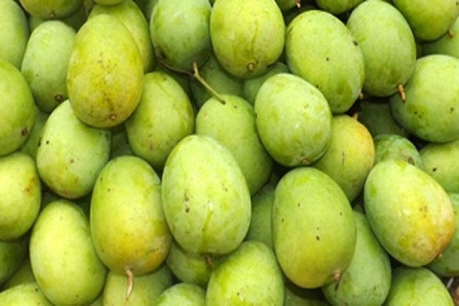 ব্রুনাইয়ের সুলতানের জন্য প্রধানমন্ত্রী শেখ হাসিনার ১ হাজার কেজি আম উপহার