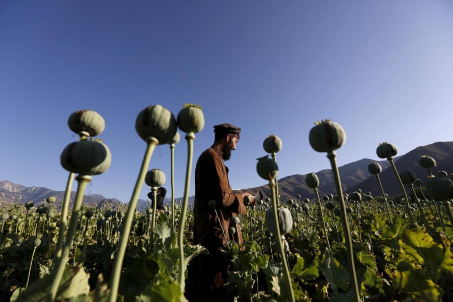 Afghanistan’s illegal opium, heroin trade prove to be a boon for Taliban