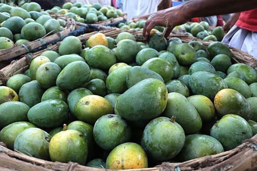 বাংলাদেশি আমের গুরুত্বপূর্ণ বাজার হতে পারে রাশিয়া, বললেন রাষ্ট্রদূত