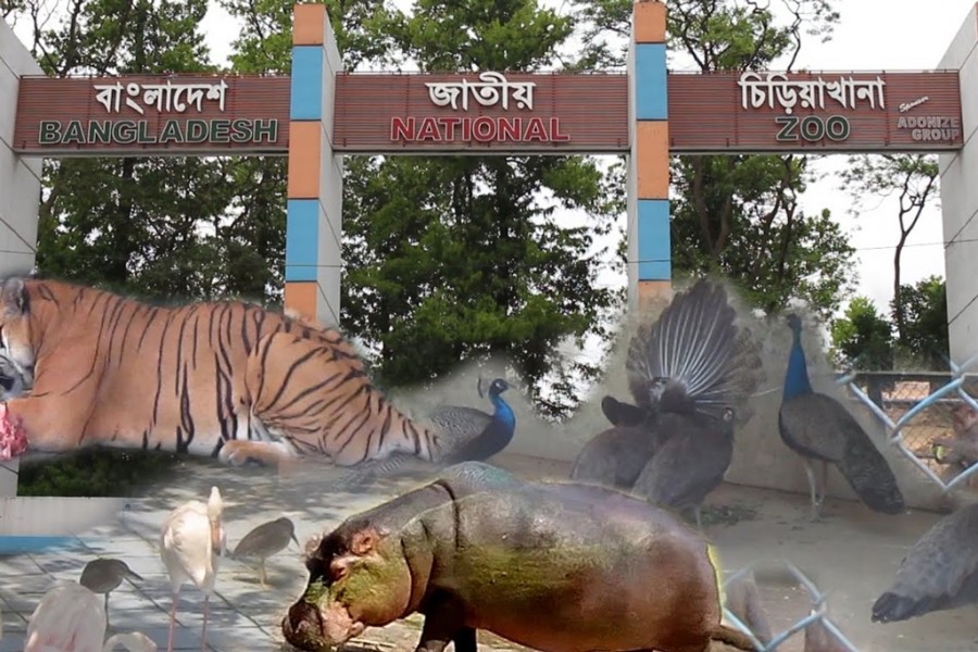 বিধি-নিষেধ শিথিলেও ঢাকা চিড়িয়াখানা এখনই খুলছে না