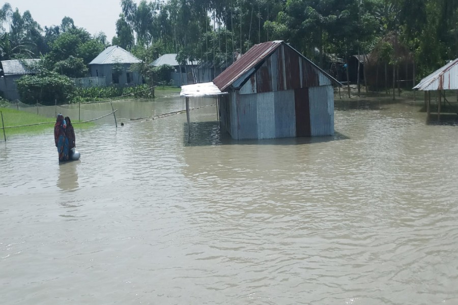 - ফাইল ছবি