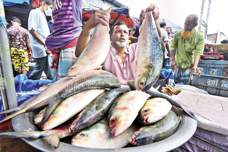 -এফই ফাইল ছবি