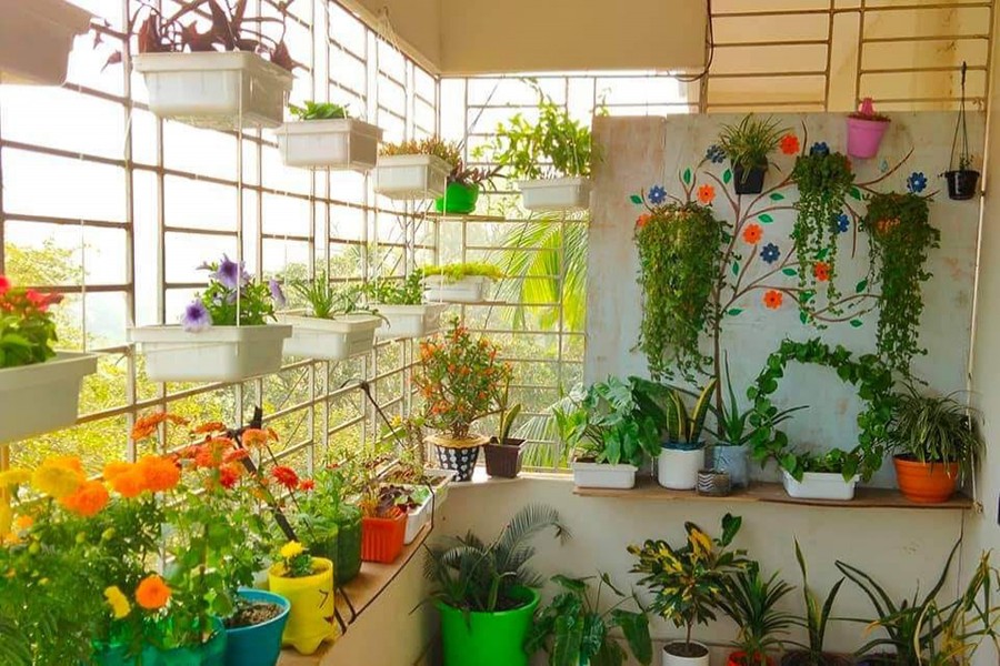 ছবিঃ সোশ্যাল মিডিয়া