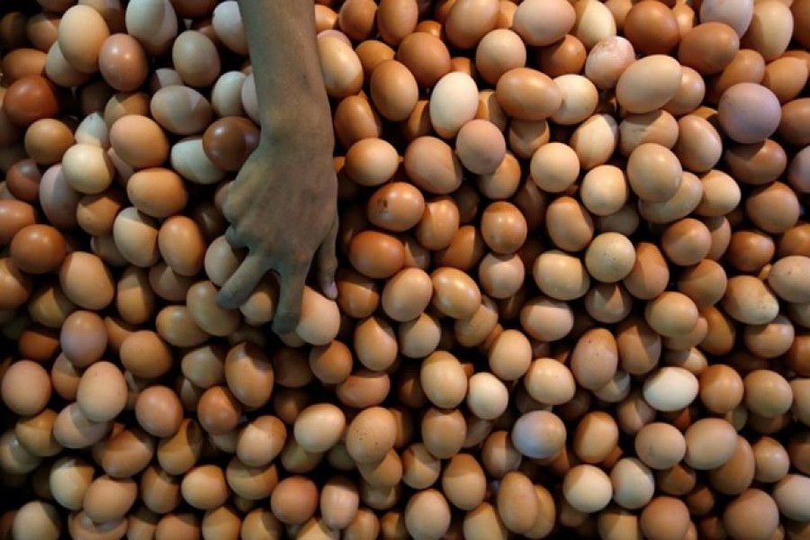 ছবিঃ রয়টার্স