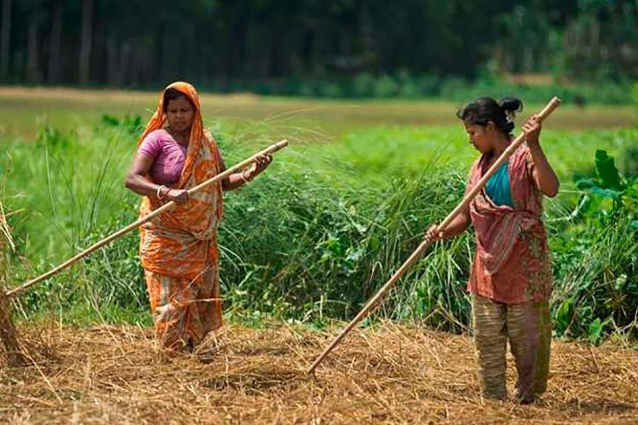 আন্তর্জাতিক গ্রামীণ নারী দিবস
