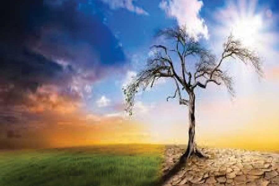 প্রতীকি ছবি