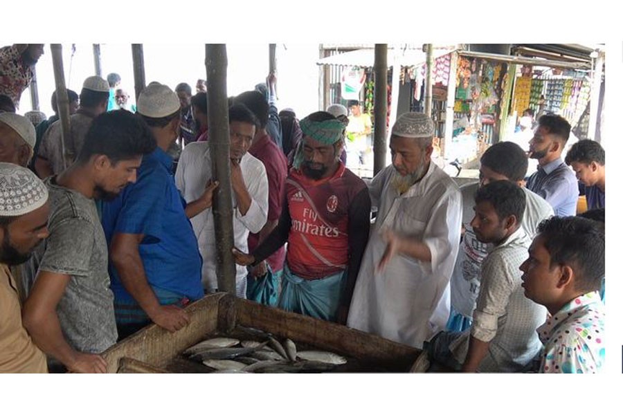 আশানুরুপ ইলিশ না পেয়ে হতাশ জেলেরা