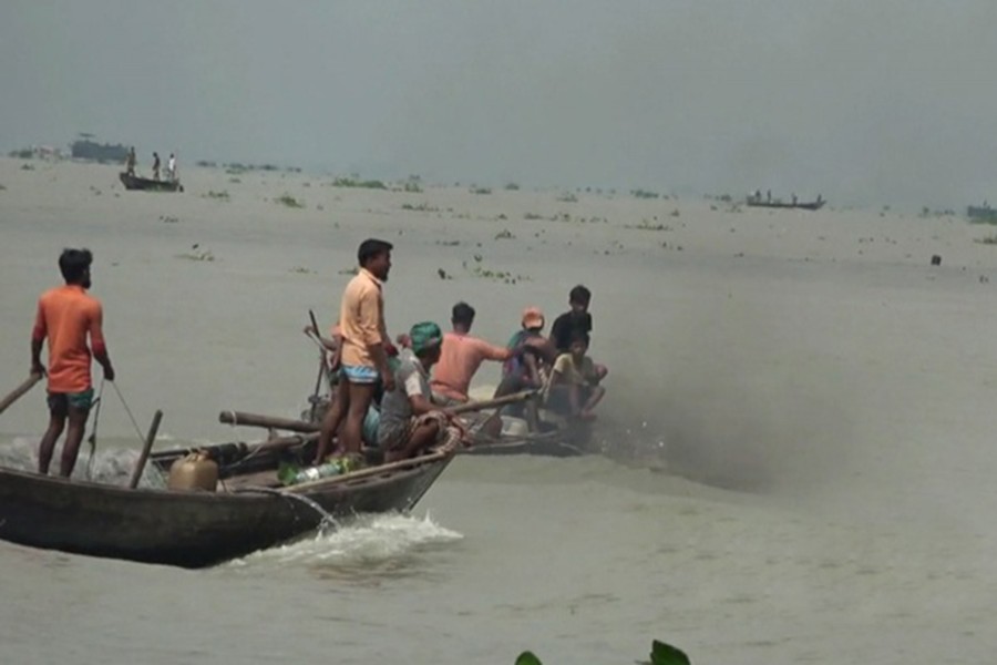 এ বছর ডিম ছেড়েছে রেকর্ড ৫১.৭ শতাংশ মা ইলিশ