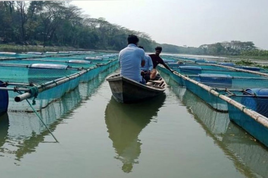 ছবি: বিবিসি বাংলা