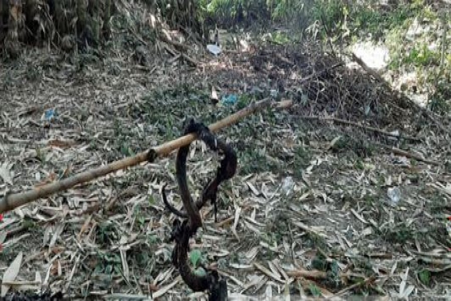 --ছবি:বিডিনিউজ টোয়েন্টিফোর ডটকম