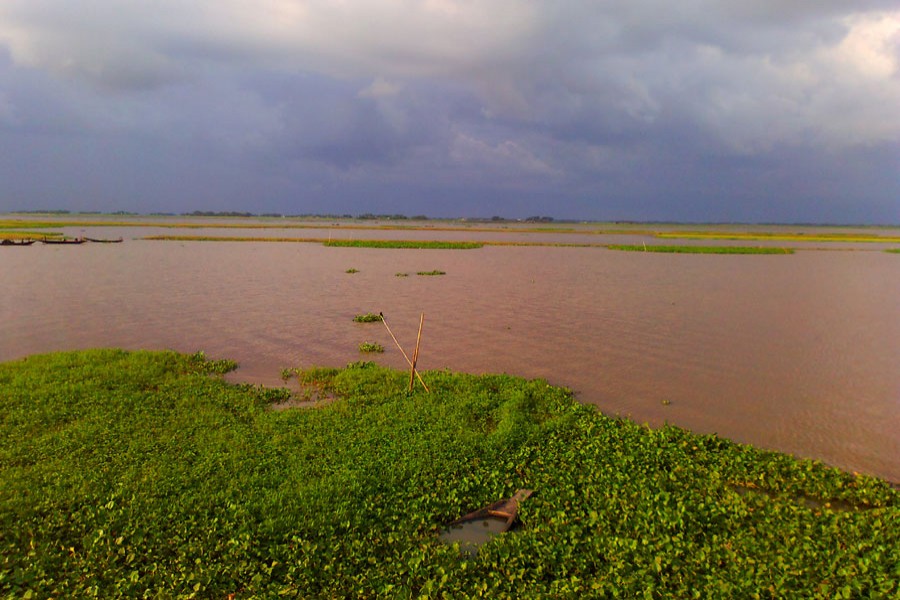 তিতাস নদী দখল-দূষণে কারা, জানতে চায় হাই কোর্ট