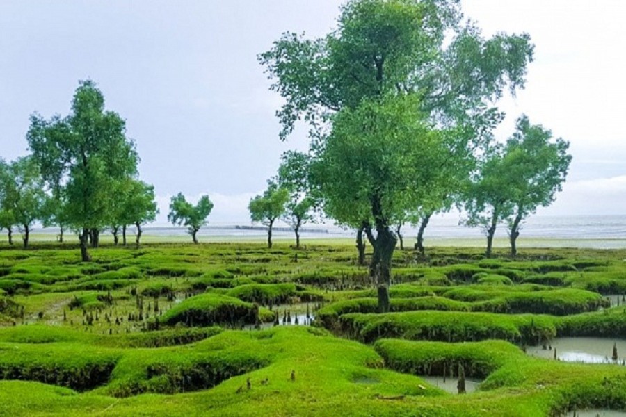 উইকেন্ডে সীতাকুণ্ড ভ্রমণ - দিনে গিয়ে দিনে ফিরে আসা