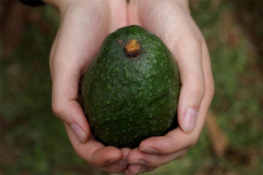 ছবি: রয়টার্স