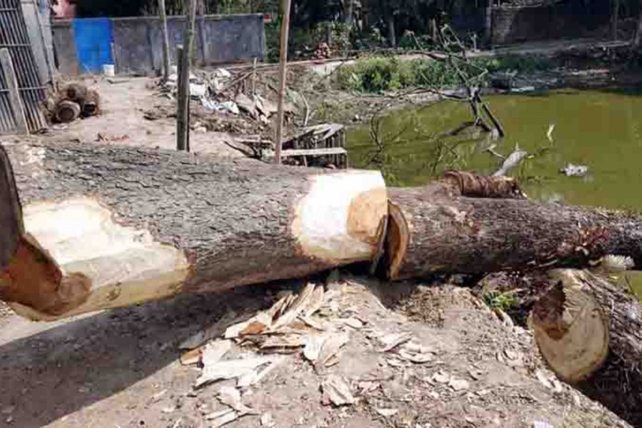 ফাইল ছবি (সংগৃহীত)