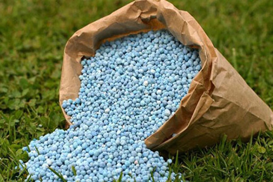 ফাইল ছবি (সংগৃহীত)