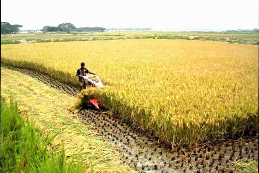 ফাইল ছবি (সংগৃহীত)