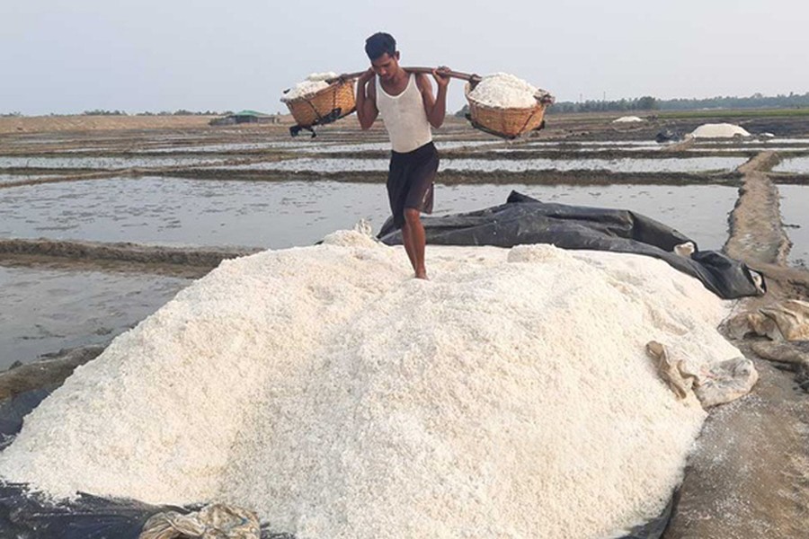 এক মণ লবণের দামে ৪ কেজি চালও মিলছে না!