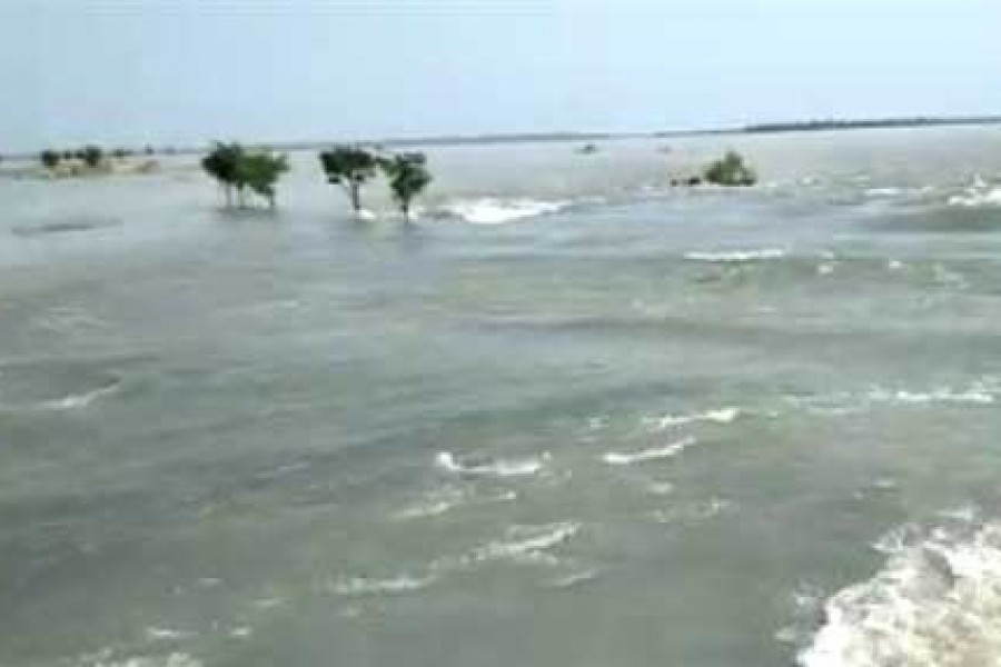 শেষ মুহূর্তে ভাঙল হালির হাওরের বাঁধ