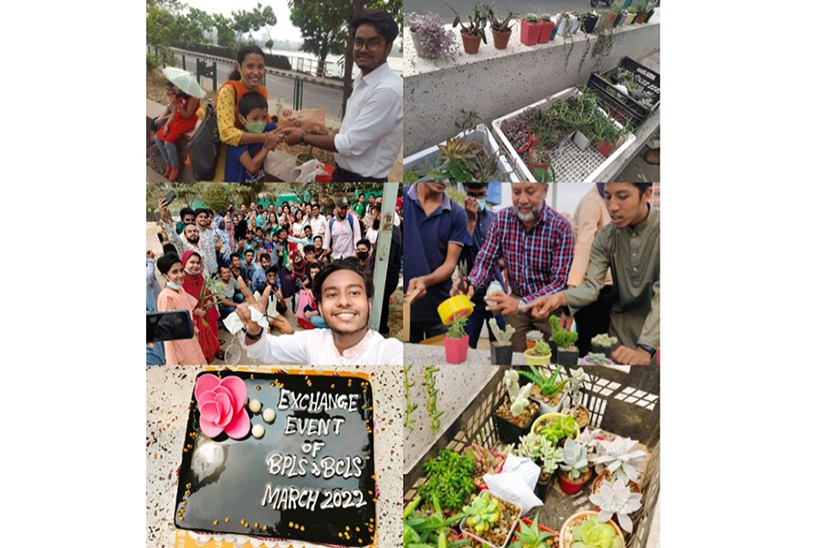 গাছের বিনিময়ে গাছ