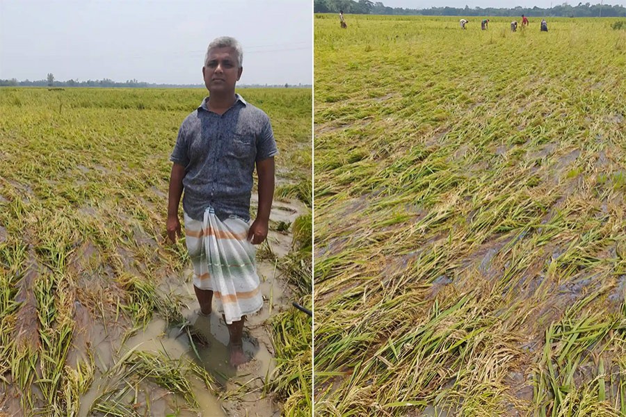 সাবেক সেনা সদস্য মোঃ বাদশা মিয়া