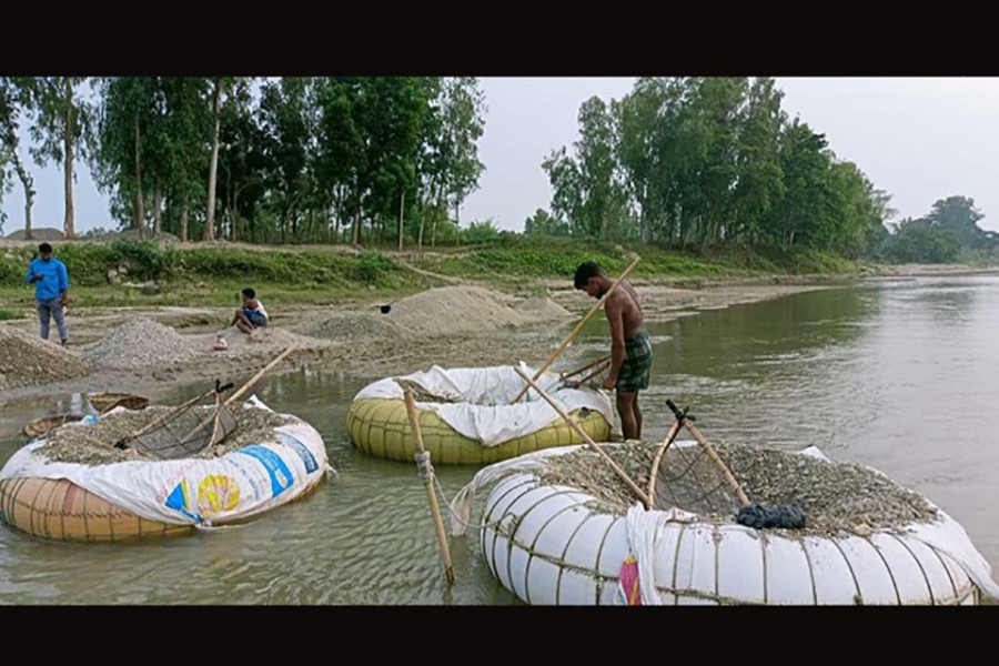 মহানন্দায় পাথরই যাদের জীবিকা