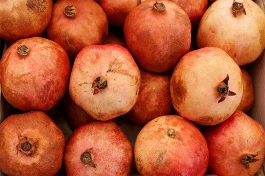 ছবি: রয়টার্স