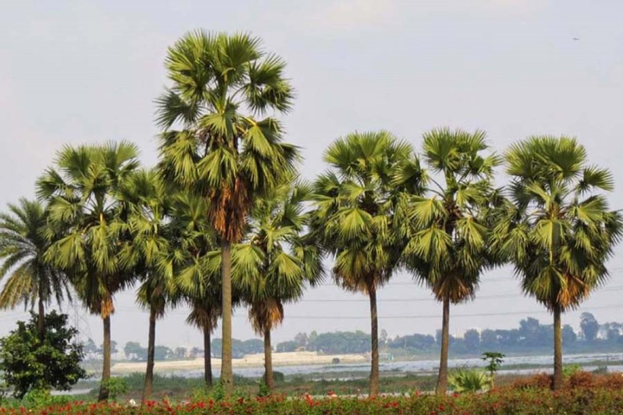 ফাইল ছবি (সংগৃহীত)