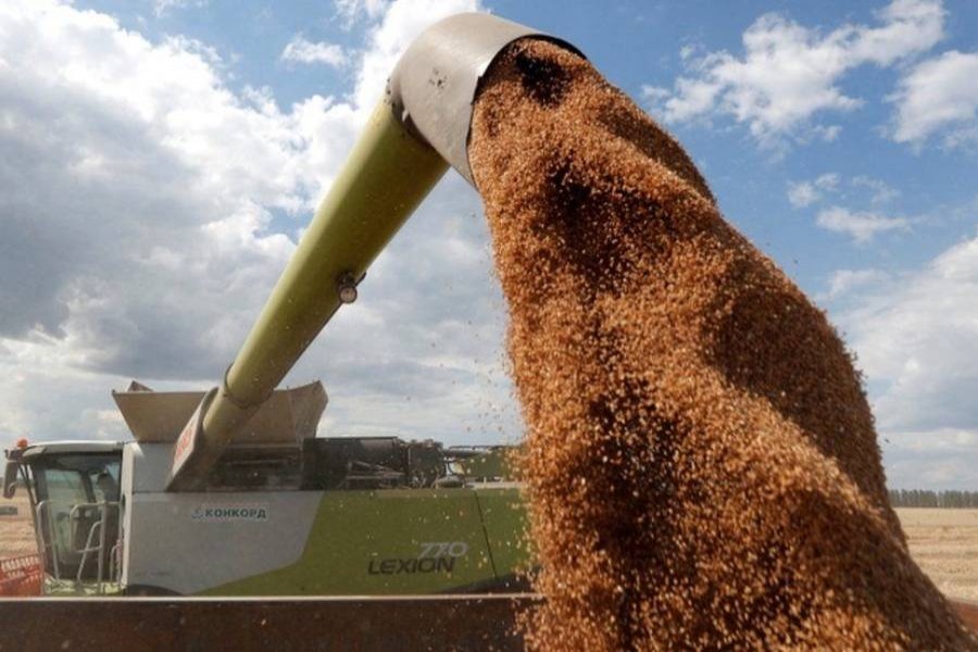 ফাইল ছবি (সংগৃহীত)  