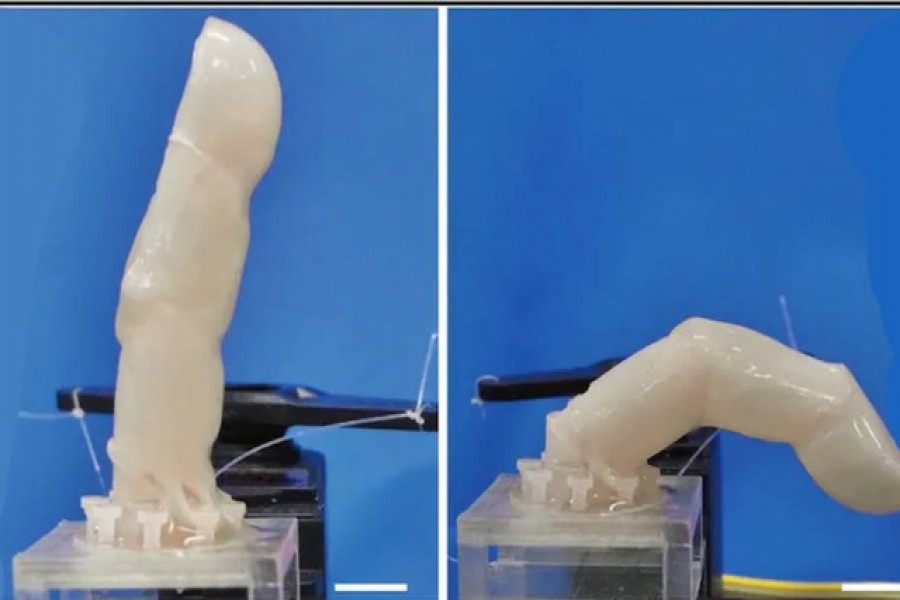 মানুষের মতো রোবটেও ‘জীবন্ত’ ত্বক