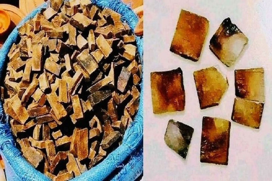 ছিকর যেভাবে হারিয়ে গেল