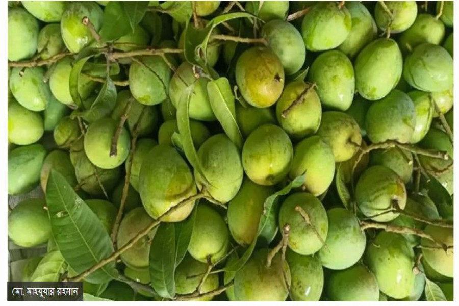 ছবি:  মো. মাহবুবার রহমান/ বিবিসি বাংলা ওয়েবসাইট হতে