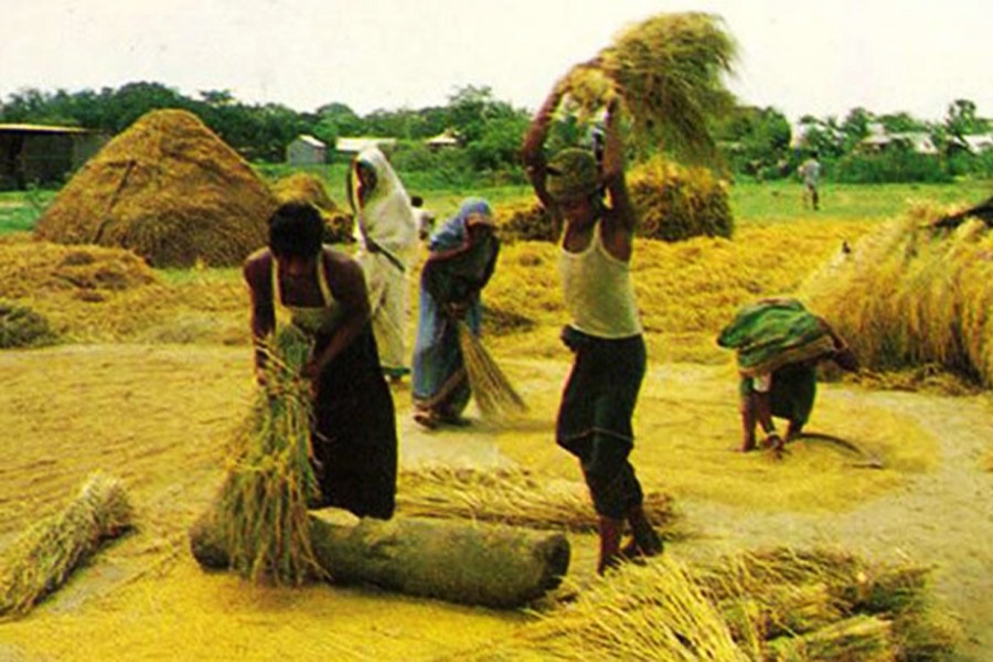 ফাইল ছবি (সংগৃহীত)