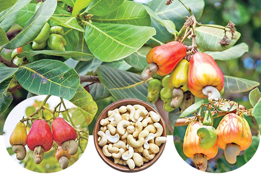 প্রতীকী ছবি