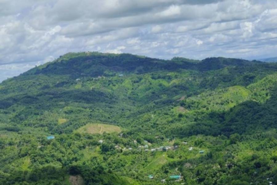 ফাইল ছবি (সংগৃহীত)