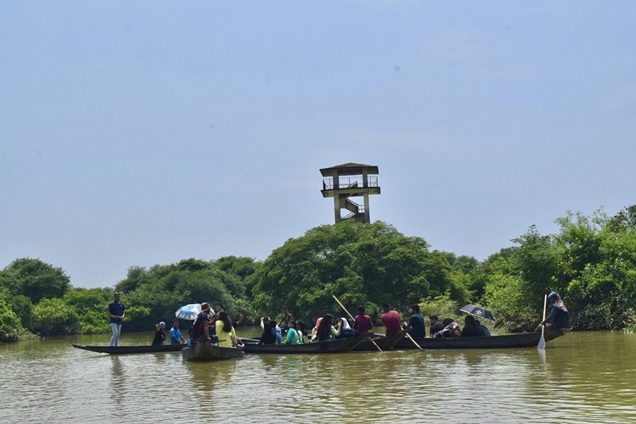 বাংলাদেশে মিঠাপানির একমাত্র বন রাতারগুল জলাবন