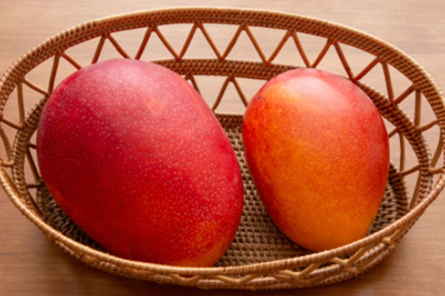 জাপানি সূর্যডিম আমের কেন এত দাম?