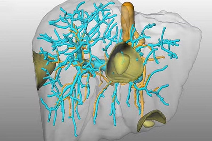 ছবি: রয়টার্স