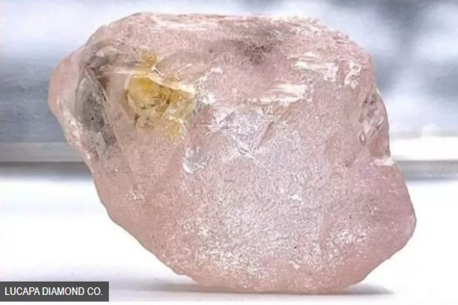 ছবি: বিবিসি বাংলা