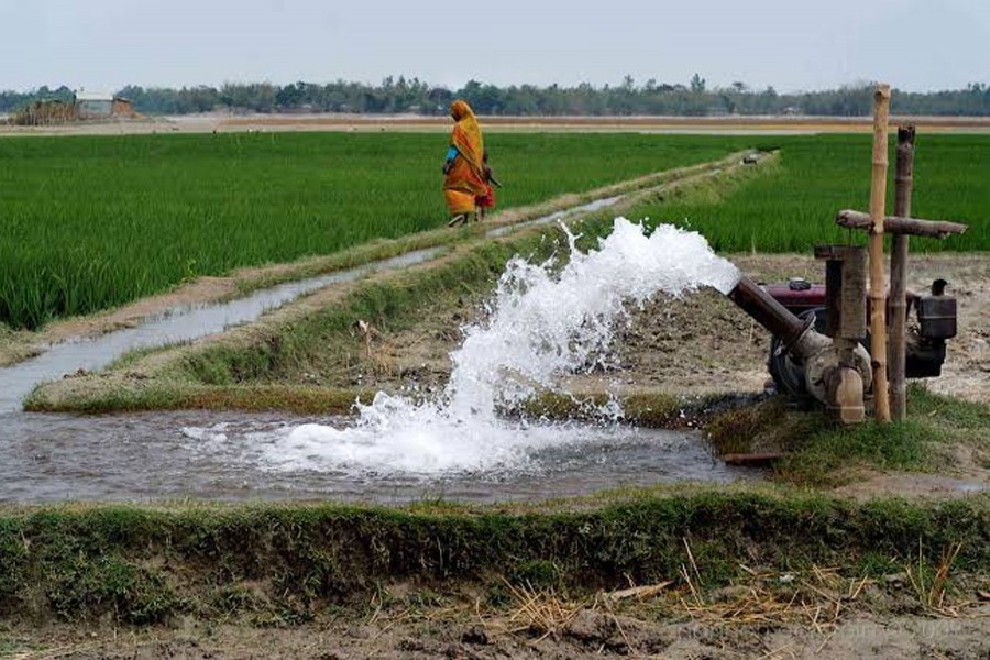 ফাইল ছবি (সংগৃহীত)