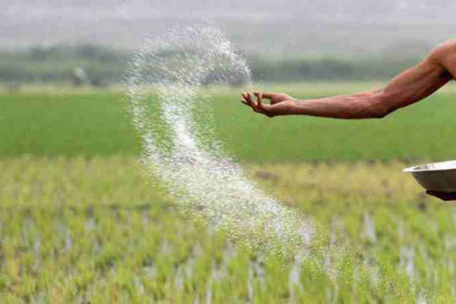 Food security: Experts warn against unbalanced use of fertiliser