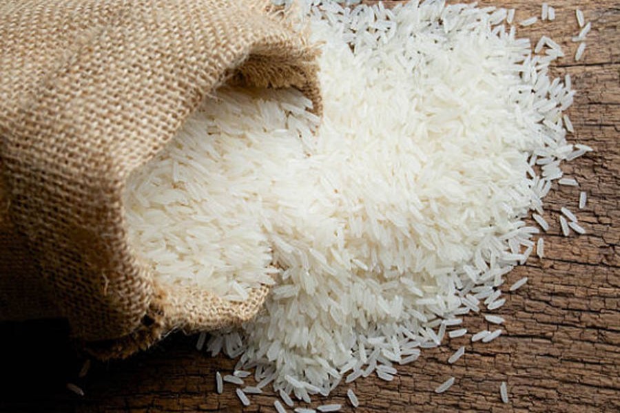India bans broken rice export 