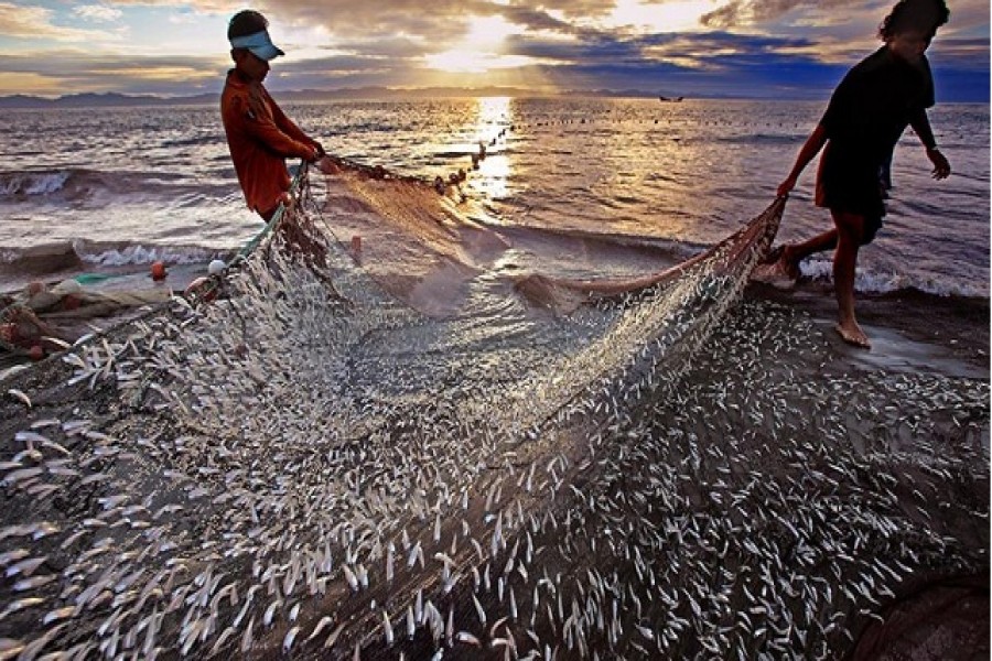 Fading glory of fisheries