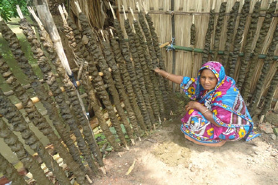 Banu Begum of Nanduali village under Magura Sadar processing cow dung for sale in the market as fuel. The photo was taken on Tuesday.	— FE Photo