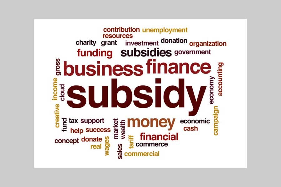 Subsidies vs inadequate public provisions and social protection