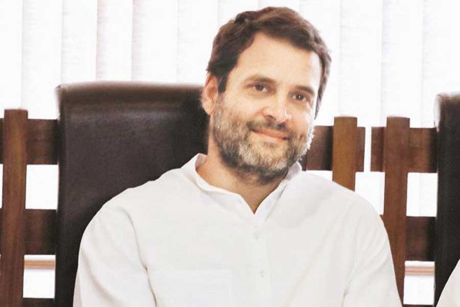 Rahul may take over as Congress chief: Sachin Pilot