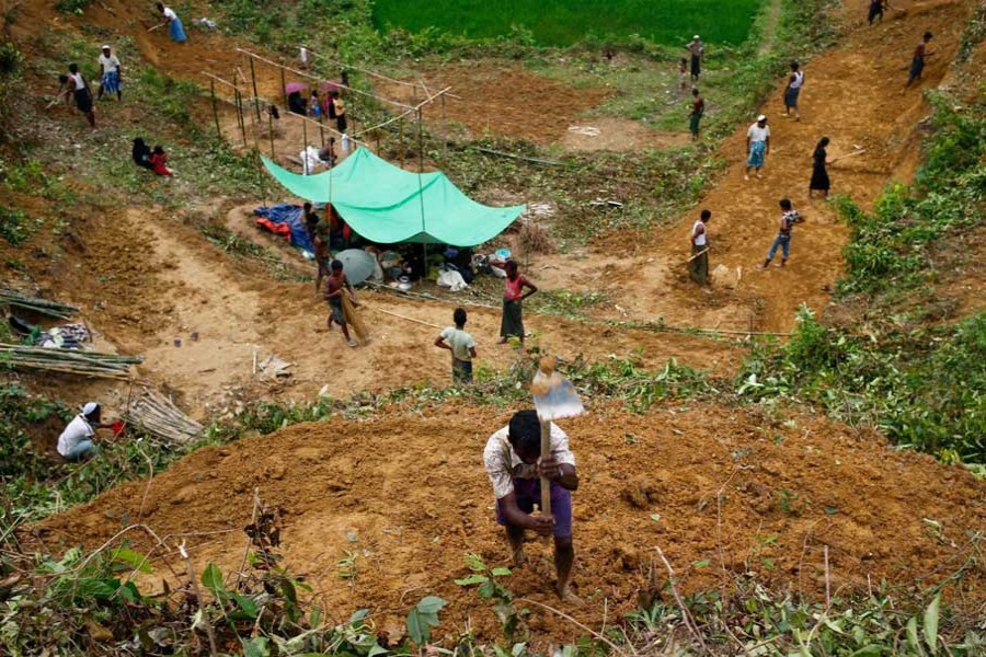 Rohingya influx results in random hill cutting